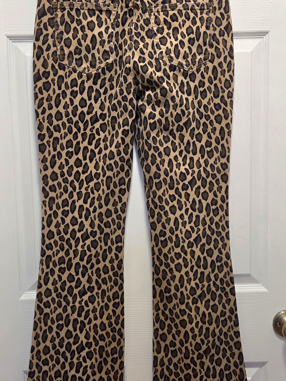 YMI Leopard Print Flared Pants - Brown Black - Picture 2 of 6